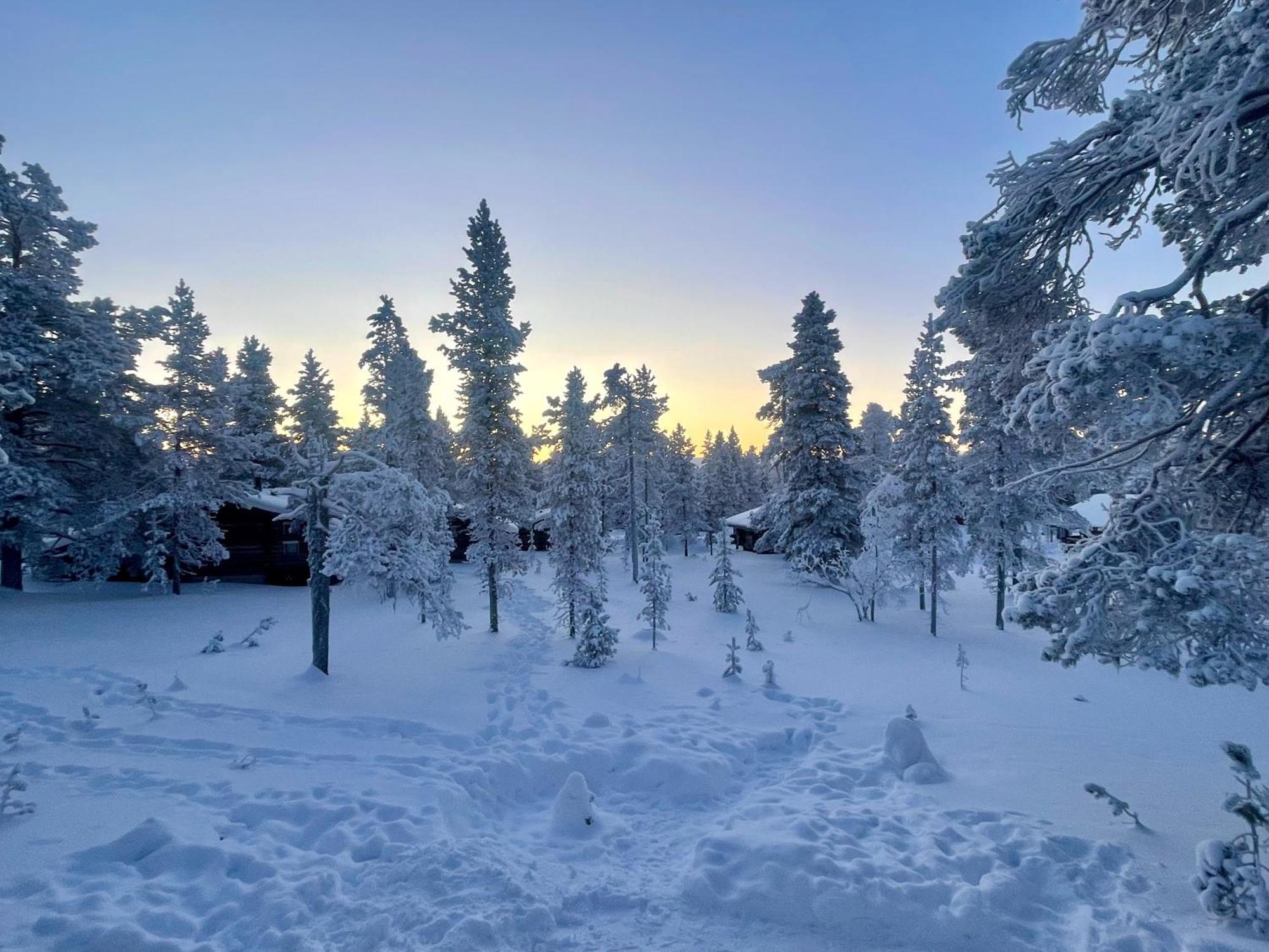 Arctic Log Cabins Saariselka Exterior photo